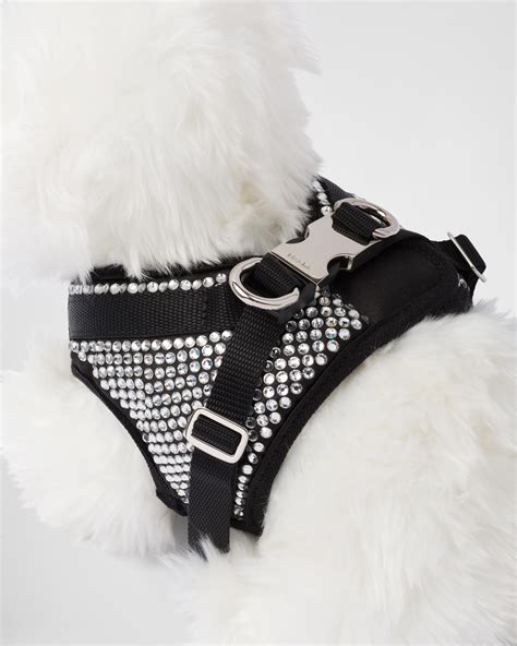 prada dog accessories.